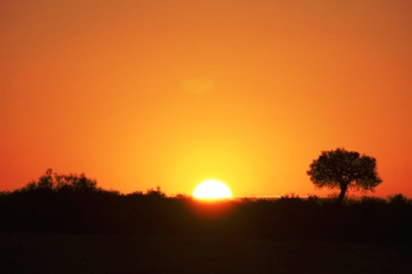 ケニアの夕日