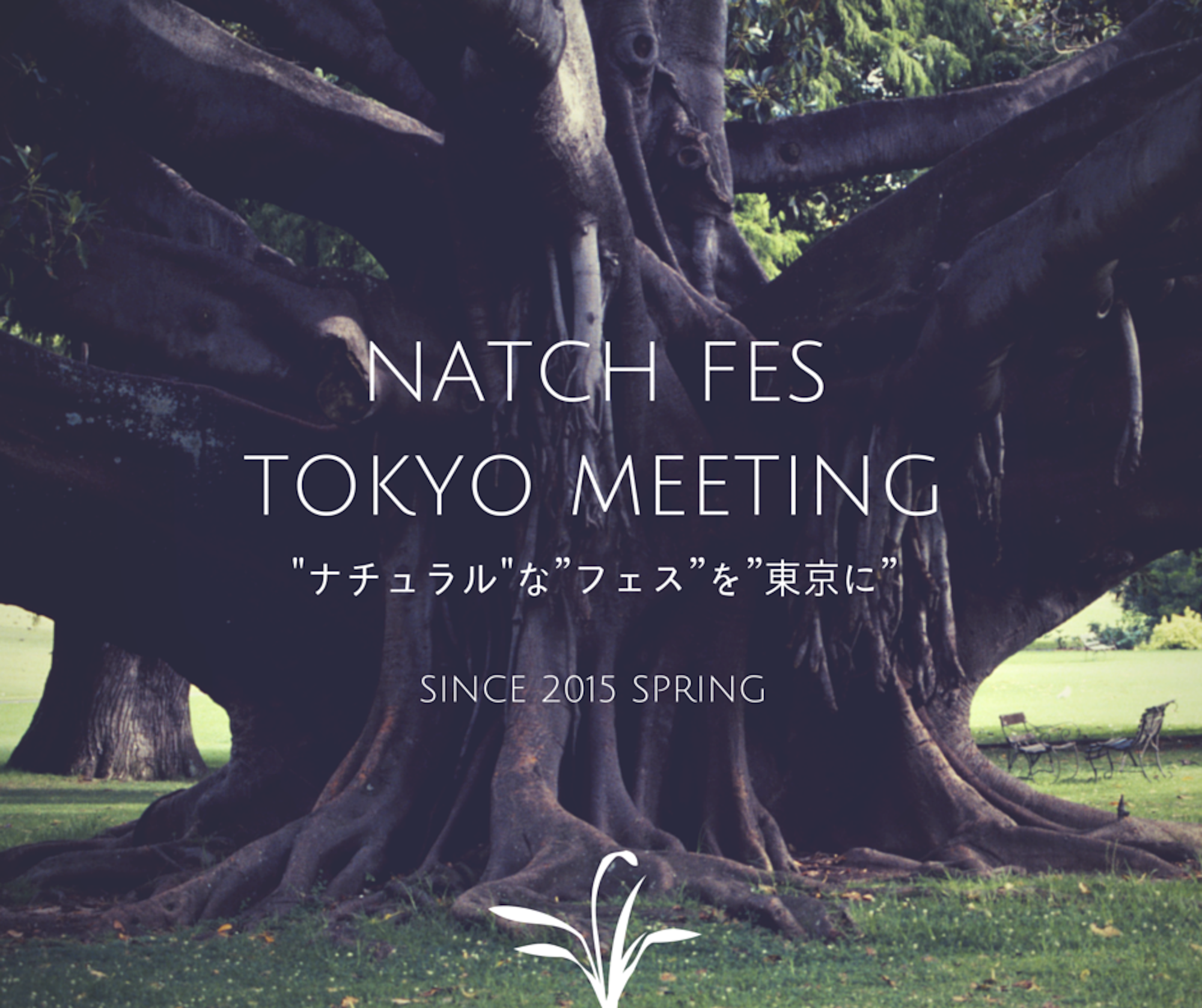 NATCH FES イメージ画像