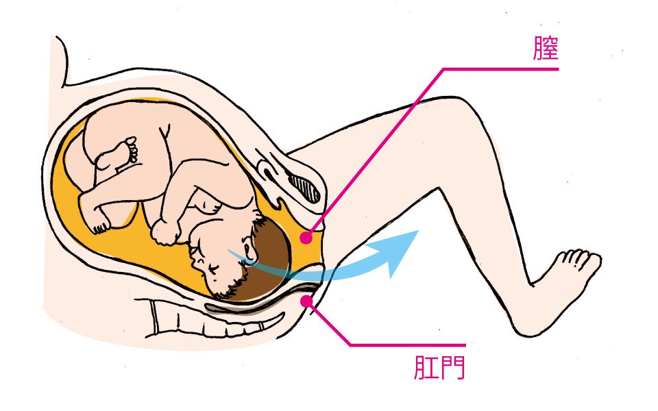 お産のベクトル