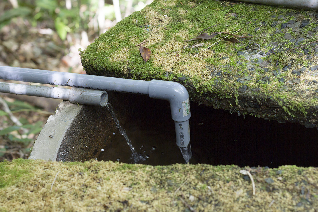 水をめぐる冒険