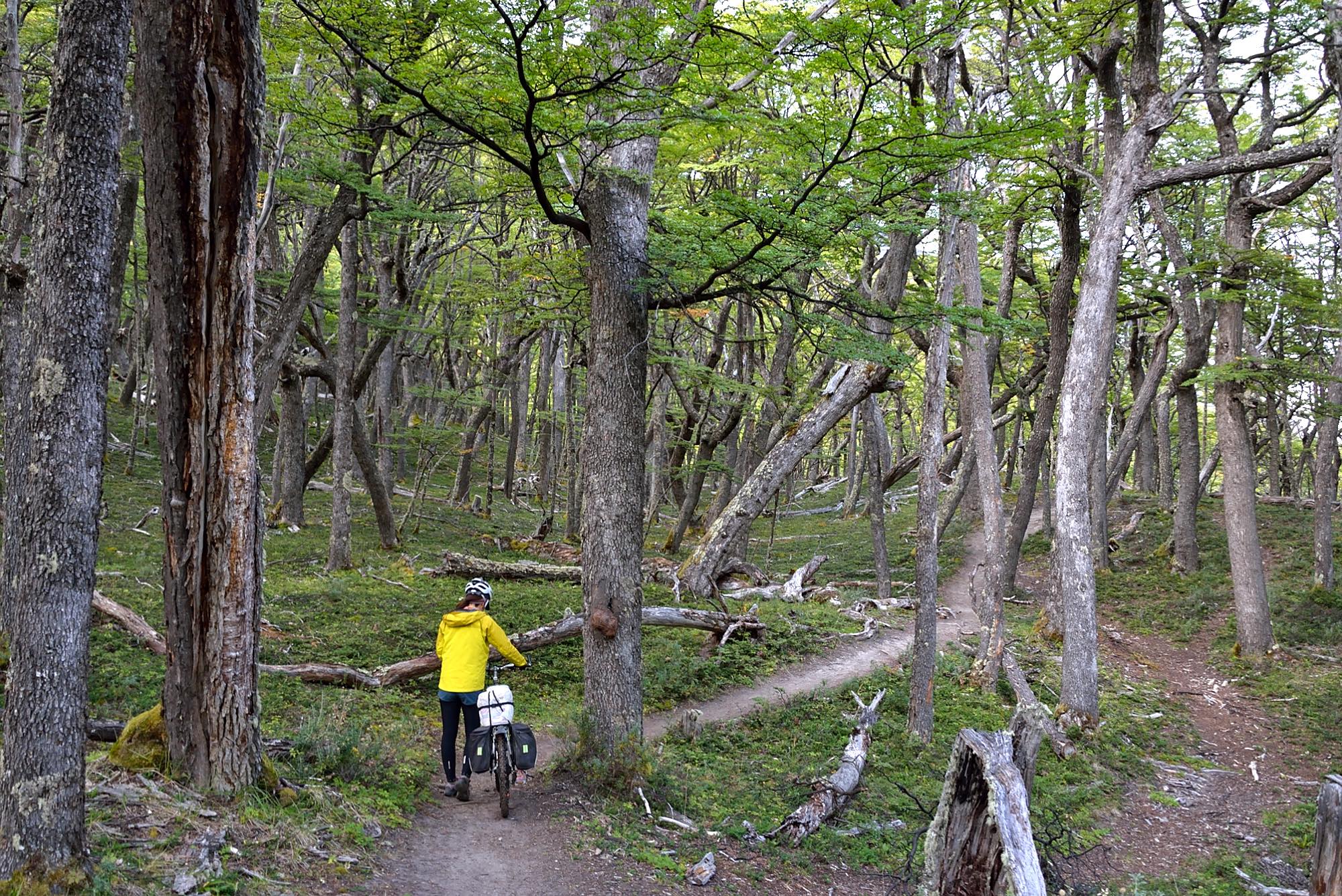 アルゼンチンとチリにまたがる「世界一過酷な国境超え」。トレッキングの山道を自転車で越えるのはなかなかタフでした。