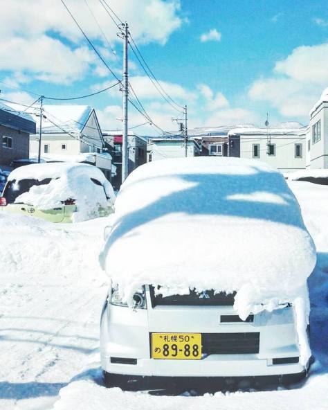 冬場に札幌を離れていると、帰ってきたときにちょっと大変（笑）