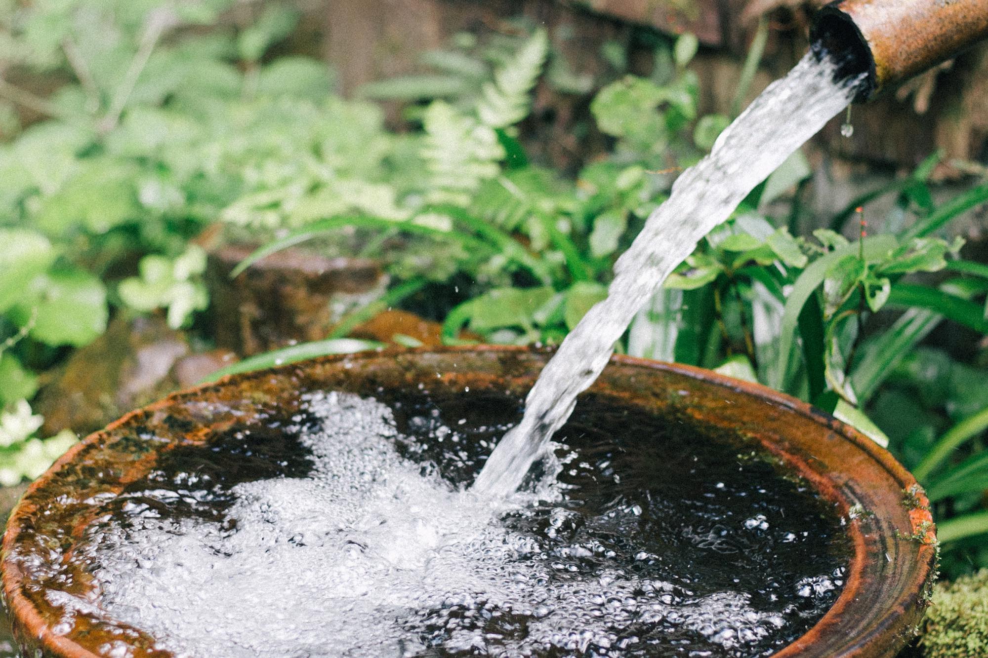 近所の人もここの水を汲みにくる